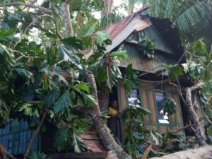 IMG-20230106-WA0018