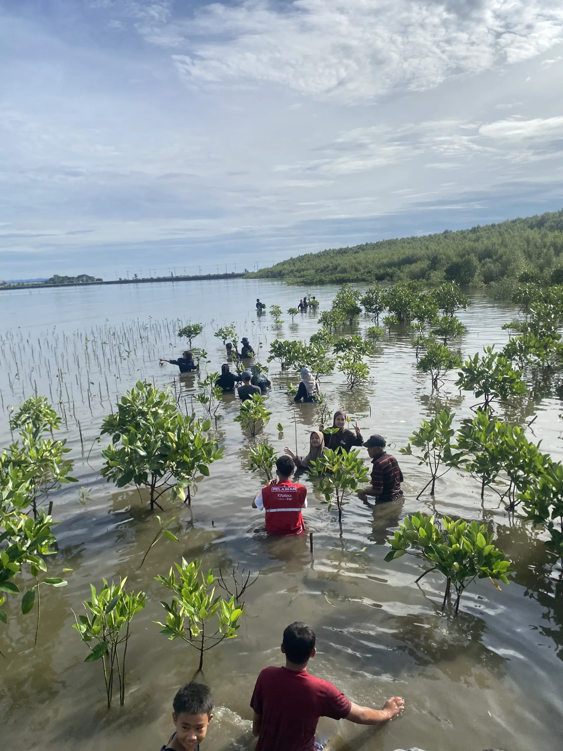 IKASA Makassar Gelar Aksi Penanaman Mangrove Bersama Volunteer dan Komunitas Peduli Lingkungan